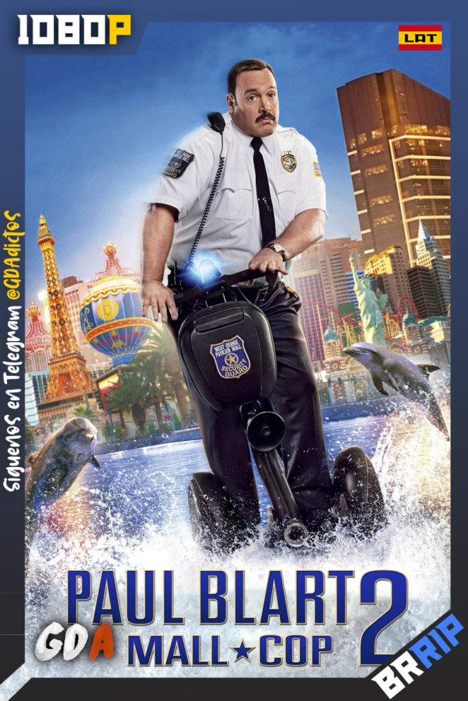 Heroe de Centro Comercial 2 (2015) BRRip 1080p Latino – Inglés
