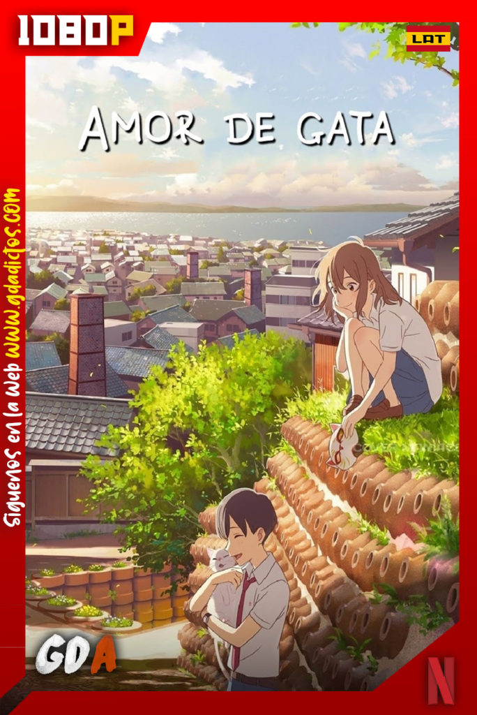 Amor de Gata (2020) NF WEB-DL 1080p Latino – Japonés – Inglés