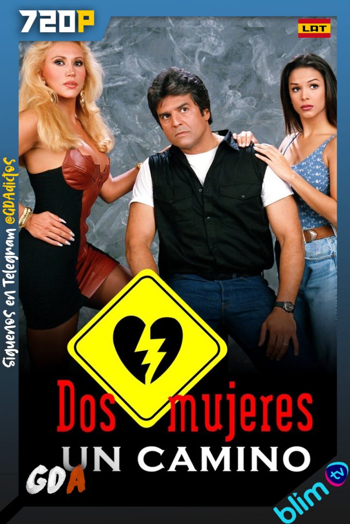 Dos Mujeres un Camino (1993) BM WEB-DL 720p #1Temporada (229/229)