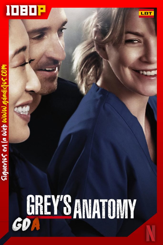 Grey’s Anatomy (2005) NF WEB-DL 1080p Latino – Inglés #16Temporadas