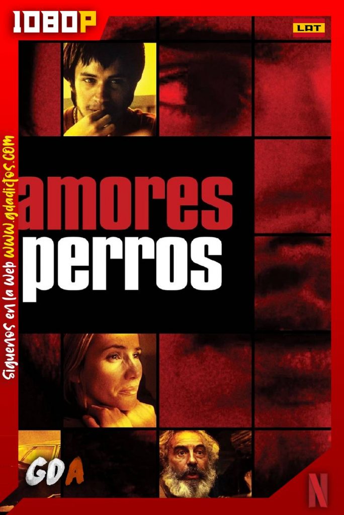Amores Perros (2000) NF WEB-DL 1080p Latino