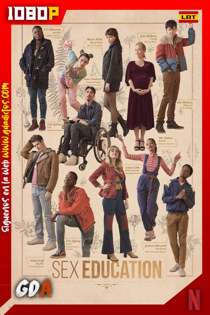 Sex Education (2019) NF WEB-DL 1080p Latino – Inglés #3Temporadas