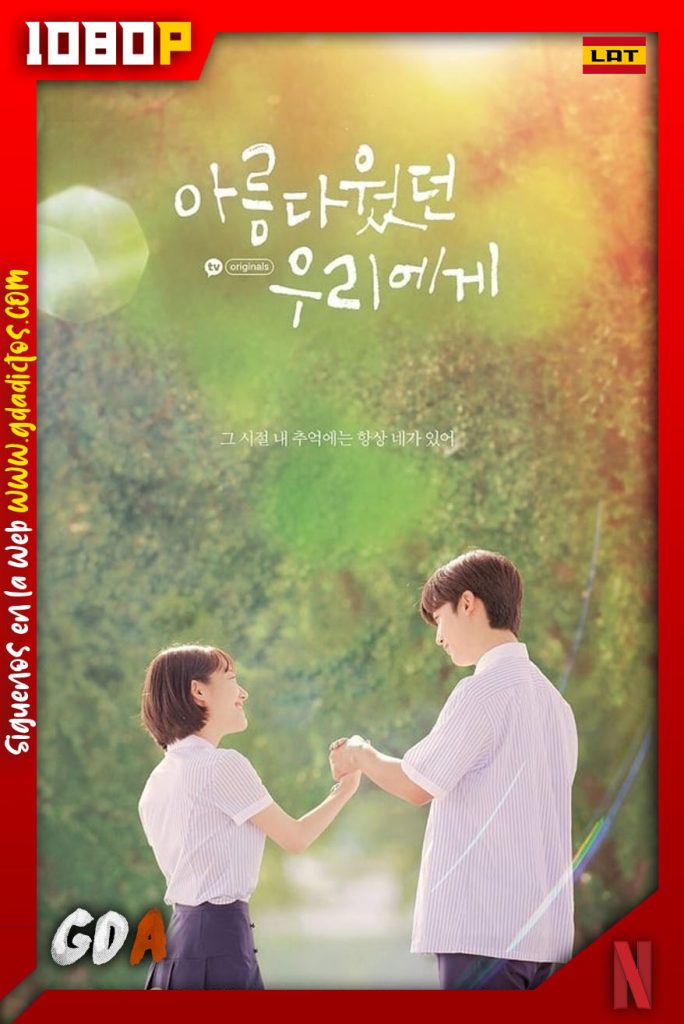 A Love So Beautiful (KR) (2020) NF WEB-DL 1080p – Latino #1temporada (24/24)