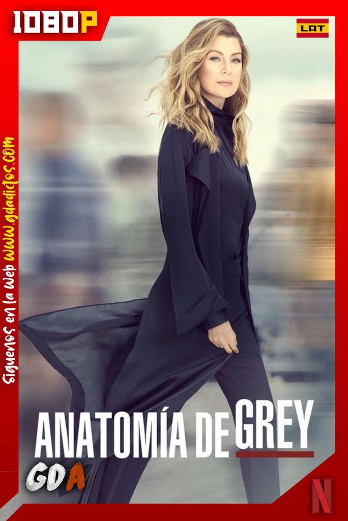 Grey’s Anatomy (2005) NF WEB-DL 1080p Latino-Inglés #Temporada17