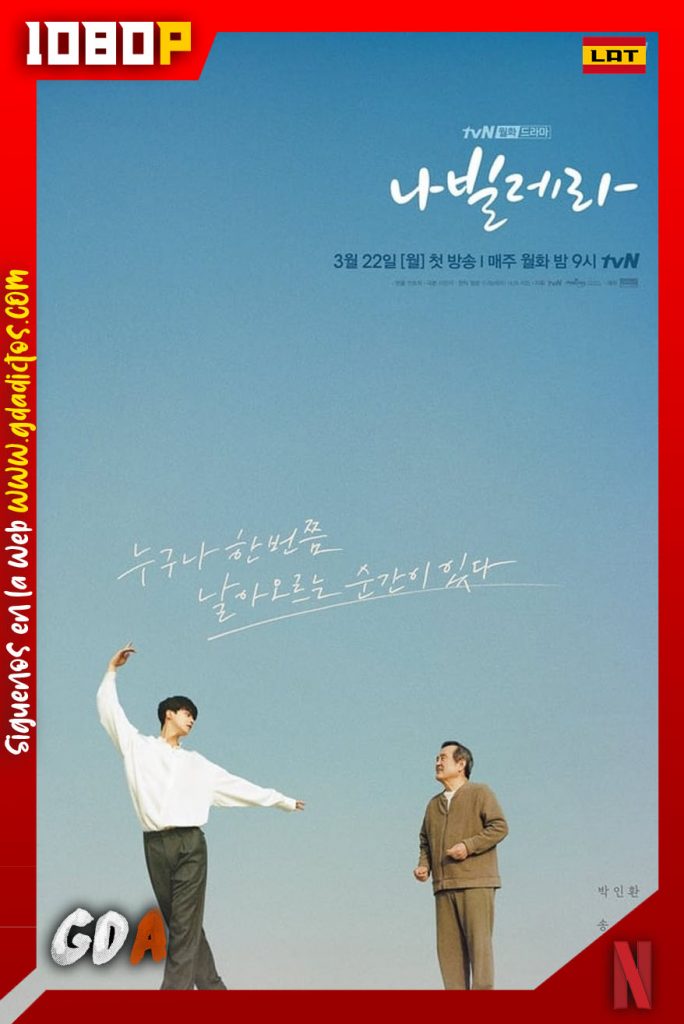 Navillera (2021) NF WEB-DL 1080p – Latino-Coreano #1temporada (12/12)