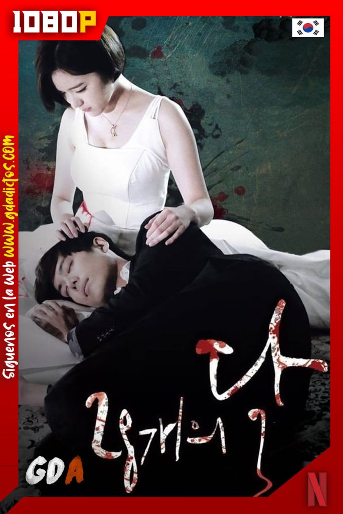 Las 28 caras de la Luna (2016)  NF WEB-DL 1080p – Coreano