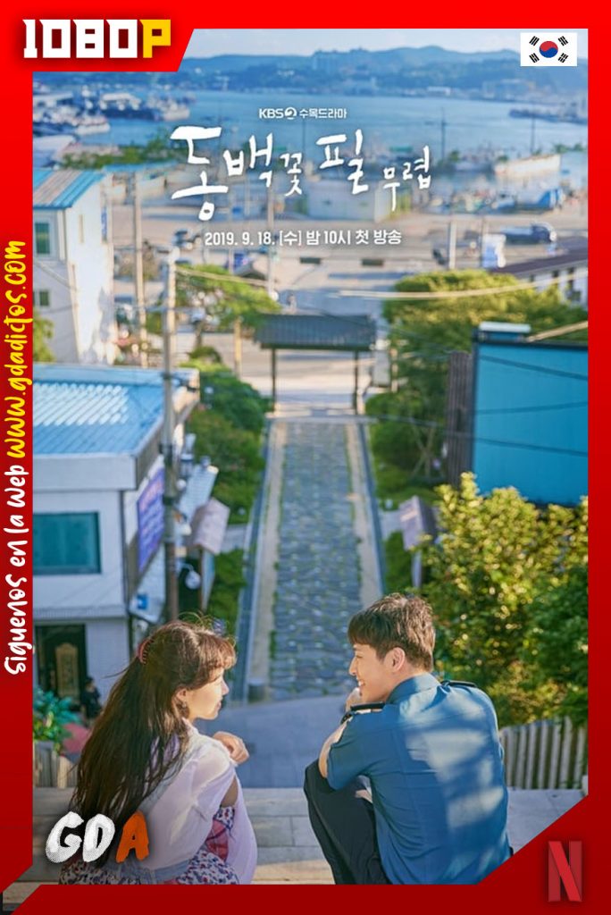 Cuando la camelia florece (2019) NF WEB-DL 1080p – Coreano # 1temporada