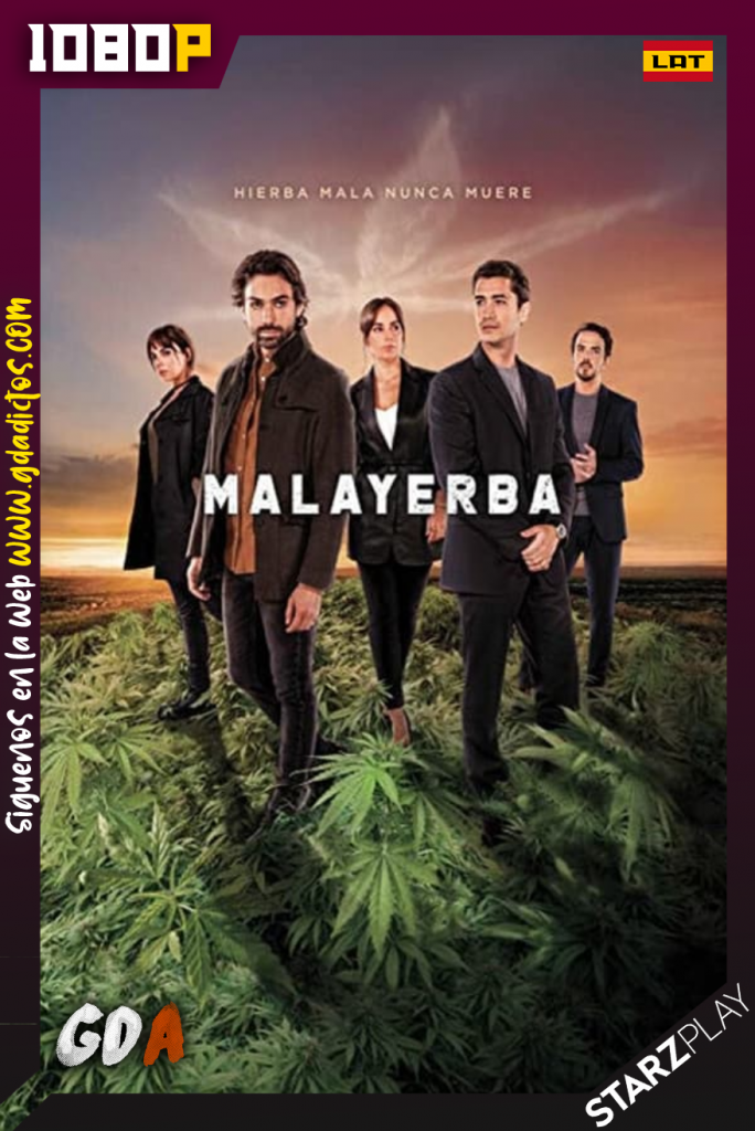 MalaYerba (2021) STARZ WEB-DL 1080p Latino #1Temporada [10/10]