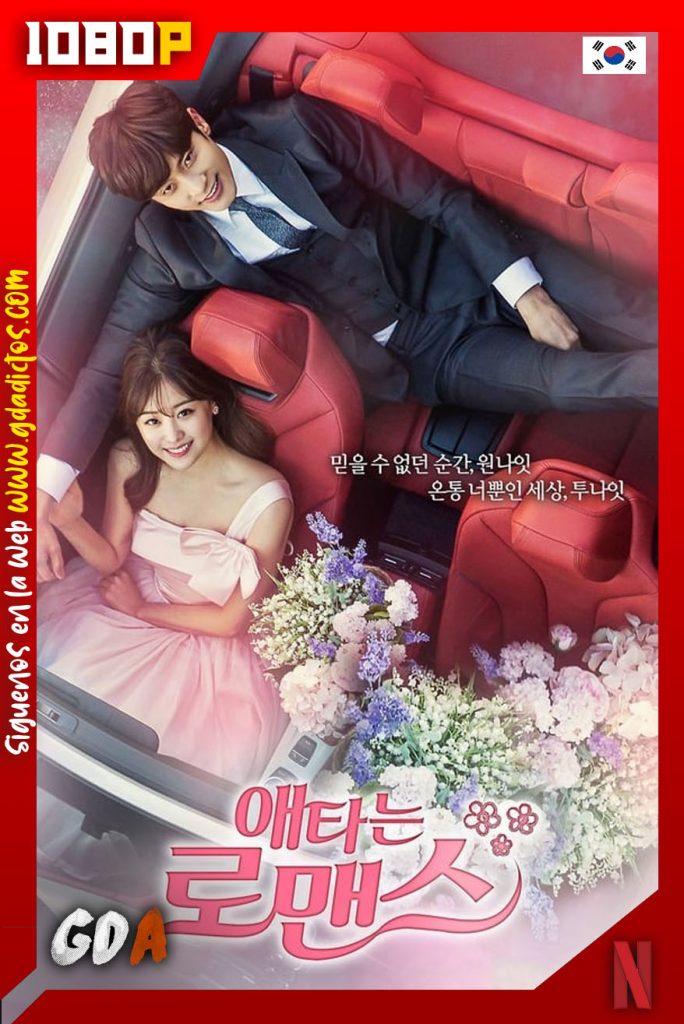 Mi romance secreto (2017) NF WEB-DL 1080p – Coreano #1temporada