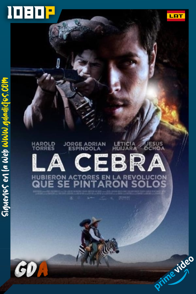 La cebra (2011) AMZN WEB-DL 1080p Latino