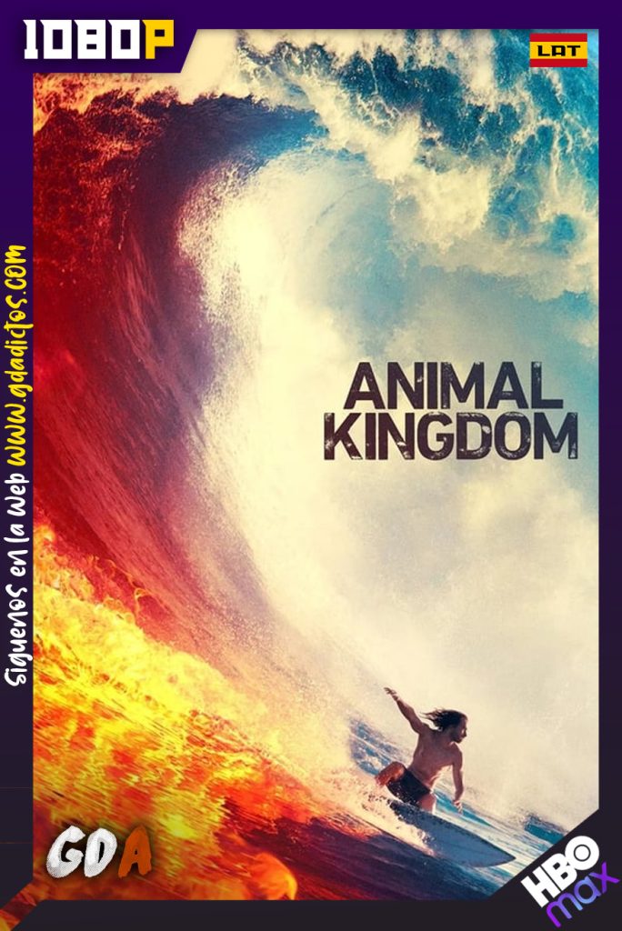 Animal Kingdom (2016) HMAX WEB-DL 1080p Latino-Inglés #4Temporadas