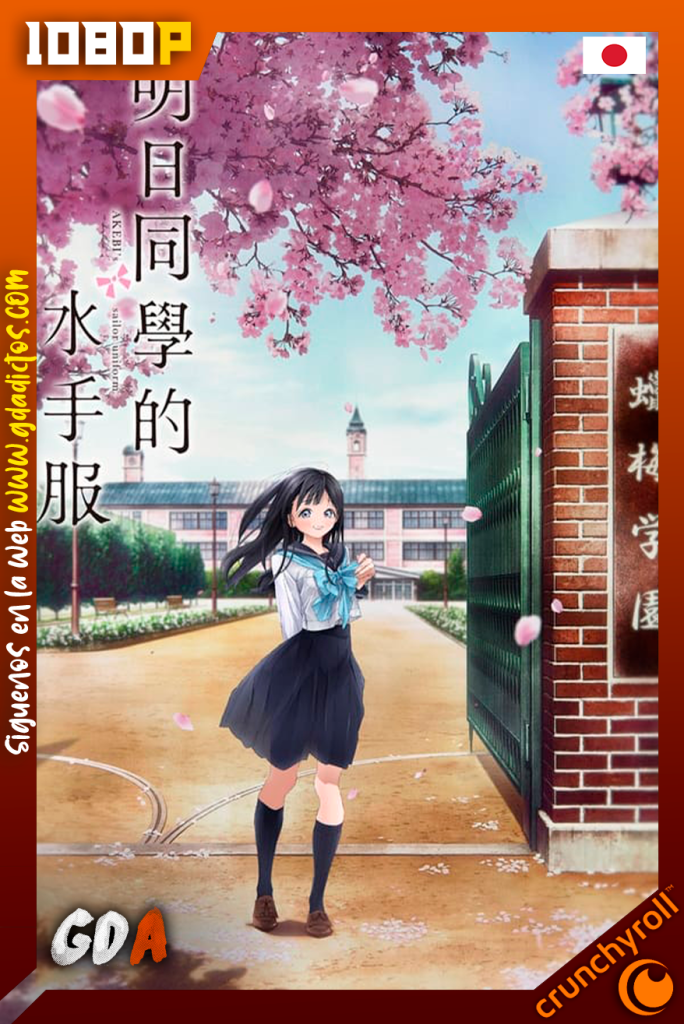 Akebis Sailor Uniform (2022) CR WEB-DL 1080p Japones #Temporada [12/12]