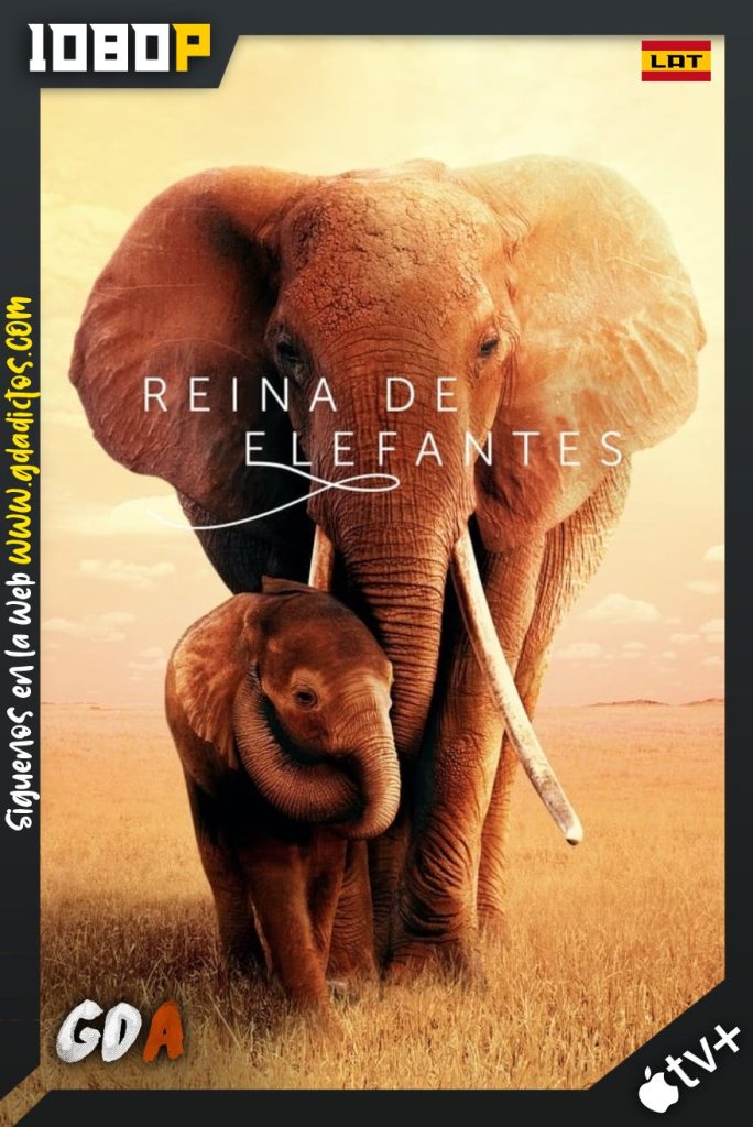 Reina de Elefantes (2019) ATVP WEB-DL 1080p Latino – Inglés