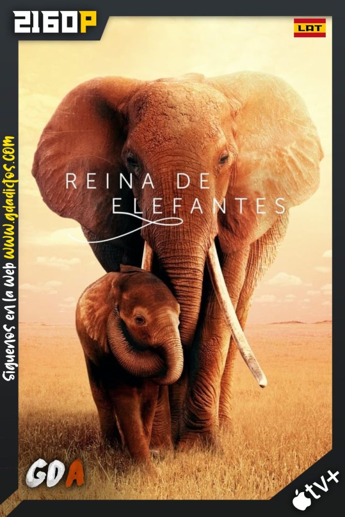 Reina de Elefantes (2019) ATVP WEB-DL 2160p Latino – Inglés