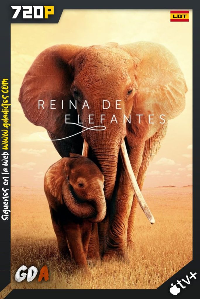 Reina de Elefantes (2019) ATVP WEB-DL 720p Latino – Inglés