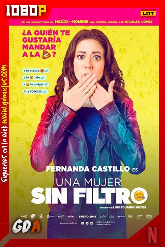 Una Mujer sin Filtro (2018) NF WEB-DL 1080p Latino
