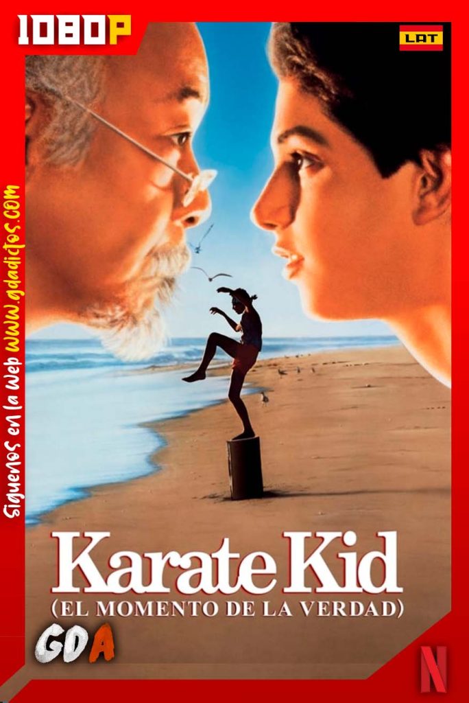 Karate Kid (1984) 1080p NF WEB-DL DDP5.1 Latino – Inglés