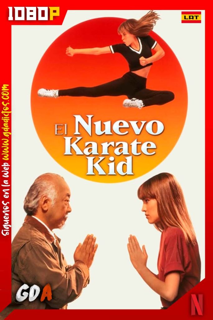 Karate Kid 4 La nueva aventura (1994) 1080p NF WEB-DL DDP2 Latino – Inglés