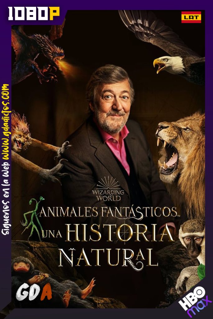 Animales Fantásticos Una Historia Natural (2022) HMAX WEB-DL 1080p Latino -Inglés – Portugués