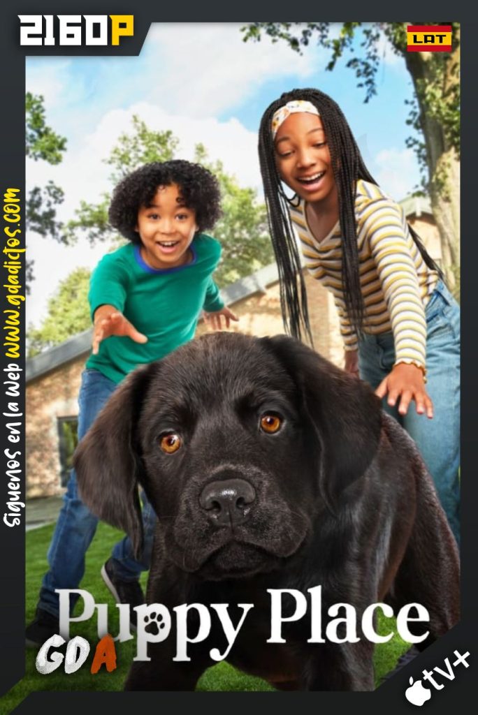 Cachorritos Buscando un Hogar (2021) ATVP WEB-DL 2160p HDR Latino-Inglés #1Temporada [8/8]