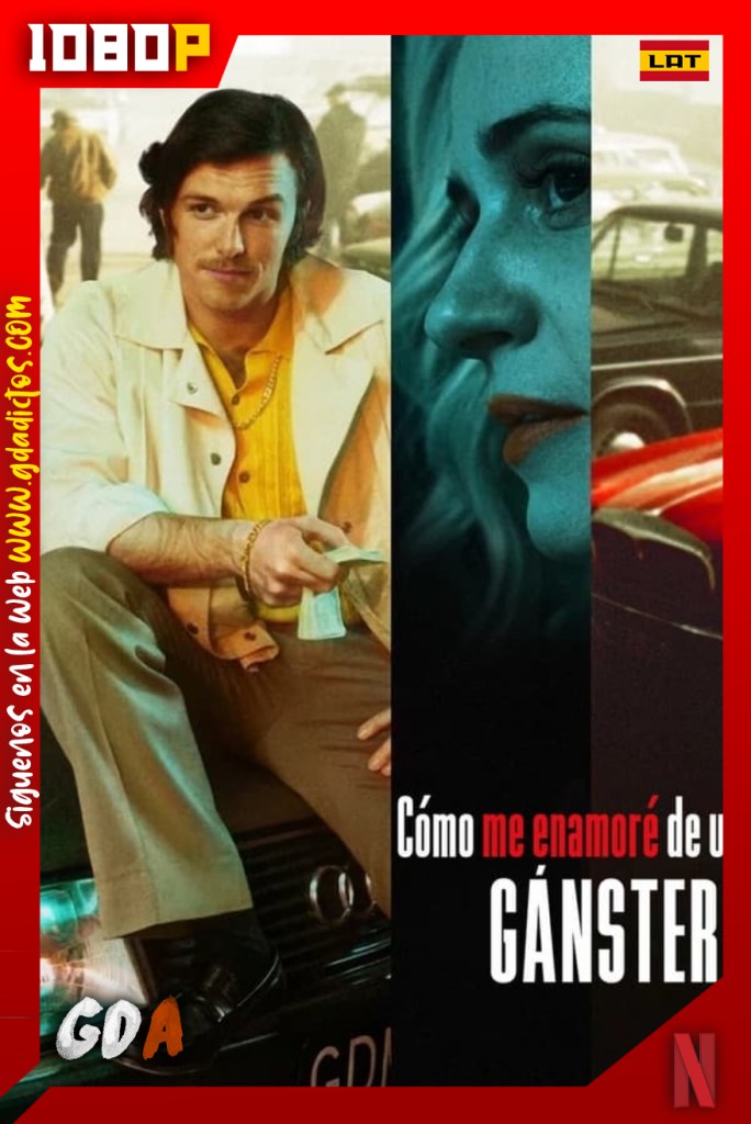 Como me enamore de un gangster (2022) NF WEB-DL 1080p Latino – Polaco – Inglés