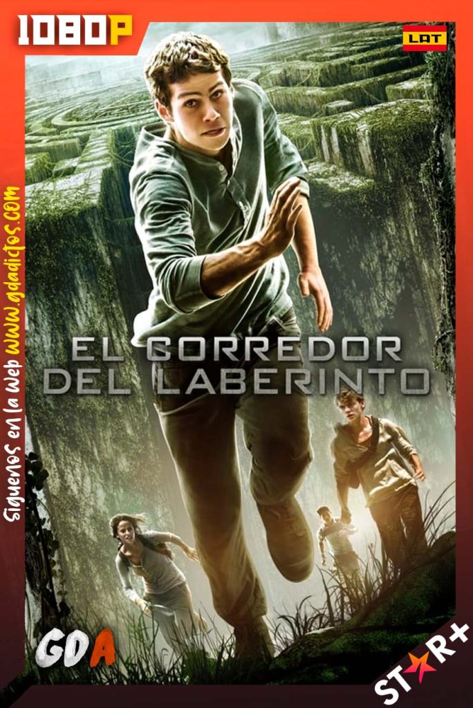 Maze Runner Correr O Morir (2014) STRP WEB-DL 1080p Latino – Inglés