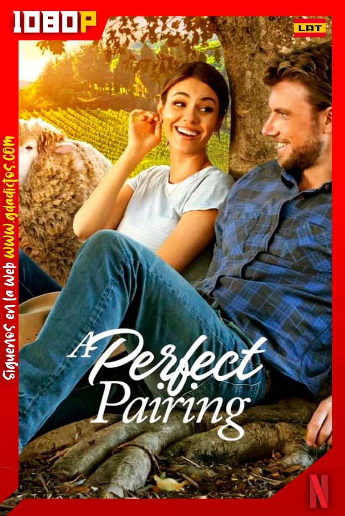 Un Maridaje Perfecto (2022) NF WEB-DL 1080p Latino-Inglés-Castellano