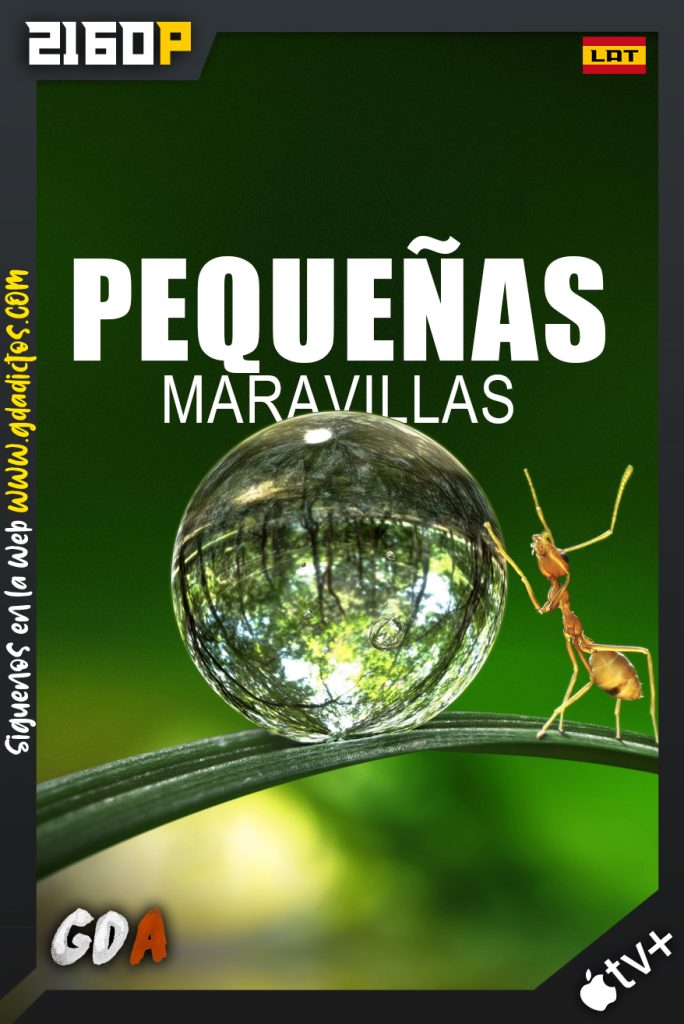 Pequeñas maravillas (2020) ATVP WEB-DL 2160p Latino – Ingles #2Temporadas