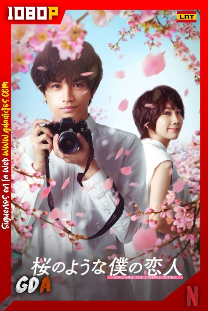 Efímera Como La Sakura (2022) NF WEB-DL 1080p Latino-Inglés-Japonés