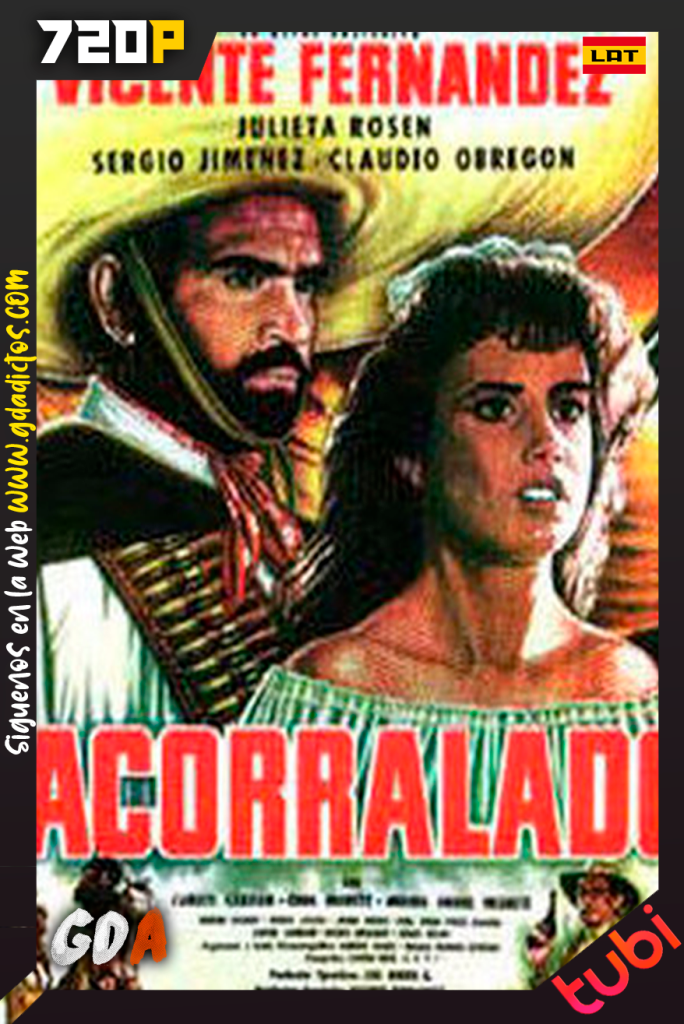 Acorralado (1984) TUBI WEB-DL 720p Latino
