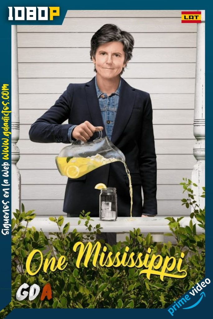 One Mississippi (2016) AMNZ WEB-DL 1080p Latino-Inglés #2Temporadas [12/12]