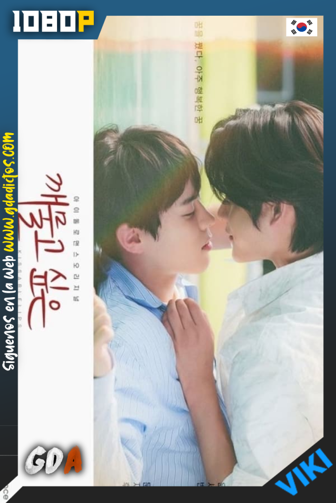 Kissable Lips (2022) VIKI WEB-DL 1080p Subtitulado #1Temporada