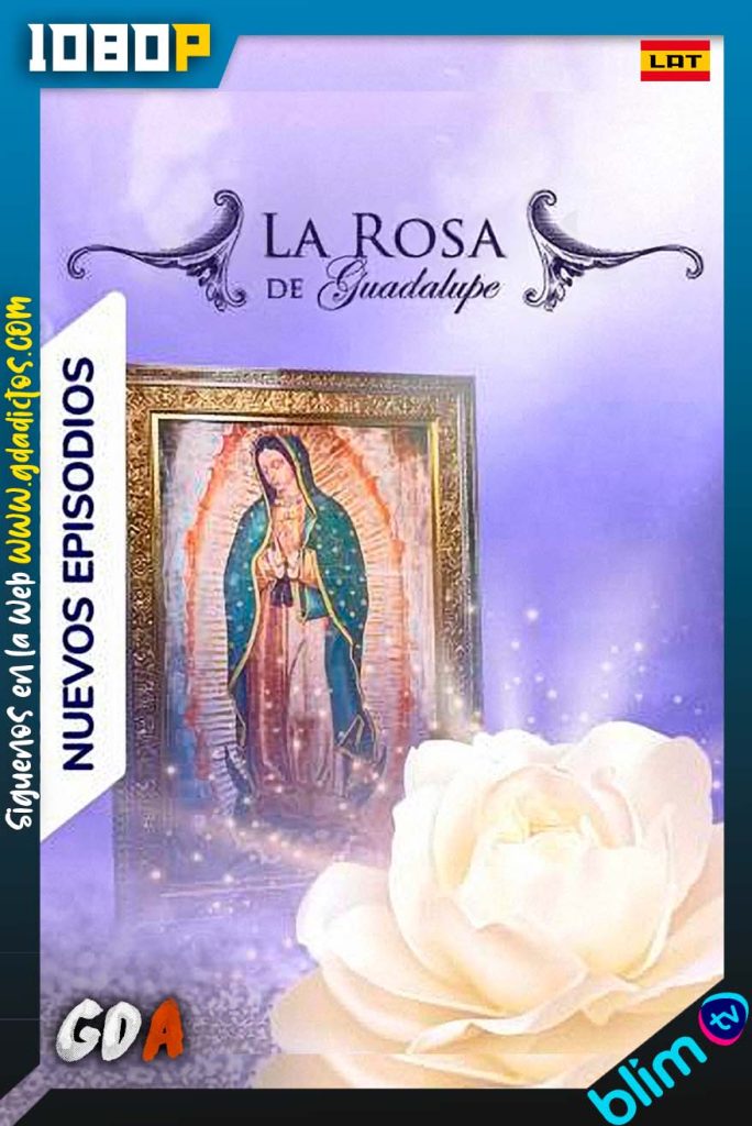 La Rosa de Guadalupe (2008) BM WEB-DL 1080p Latino  #9Temporadas