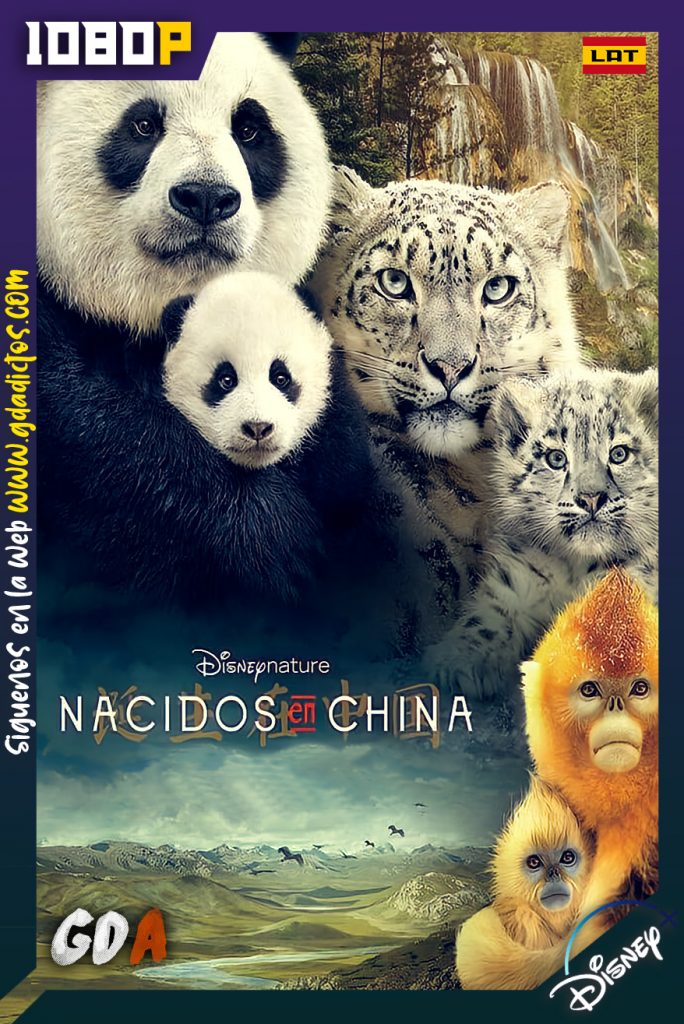 Disneynature Nacidos en China (2016) DSNP WEB-DL 1080p Latino – Inglés