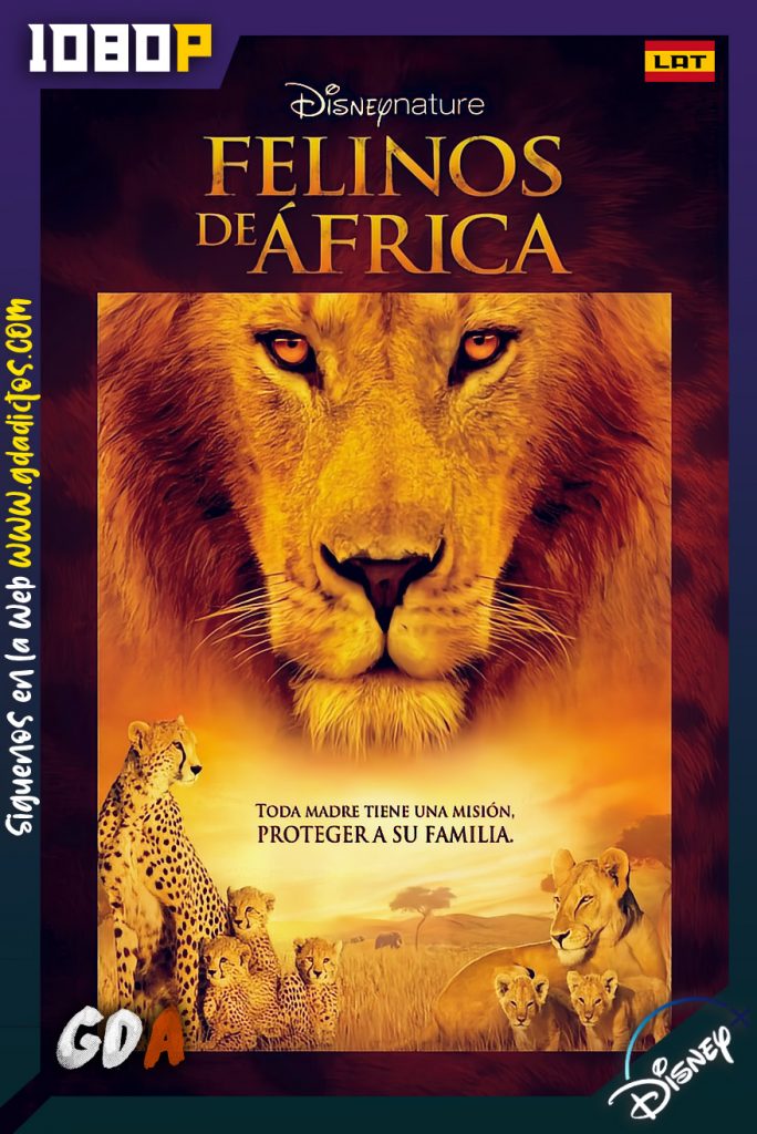 Disneynature Felinos de Africa (2011) DSNP WEB-DL 1080p Latino – Inglés
