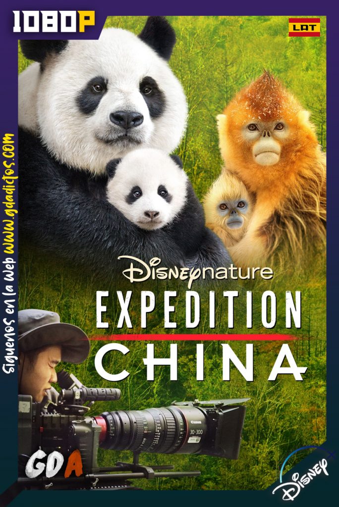 Disneynature Expedición a China (2017) DSNP WEB-DL 1080p Latino – Inglés