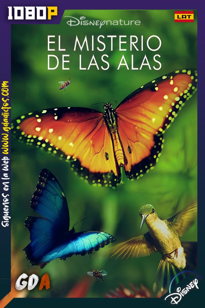 Disneynature El Misterio de las Alas (2011) DSNP WEB-DL 1080p Latino – Inglés