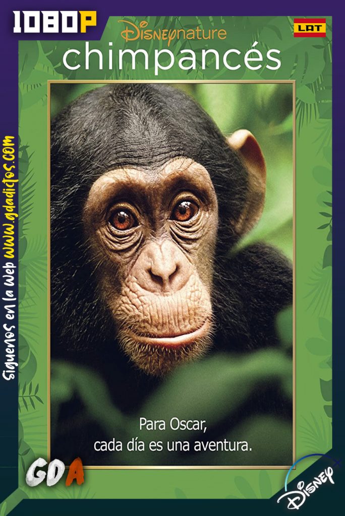 Disneynature Chimpancés (2012) DSNP WEB-DL 1080p Latino – Inglés