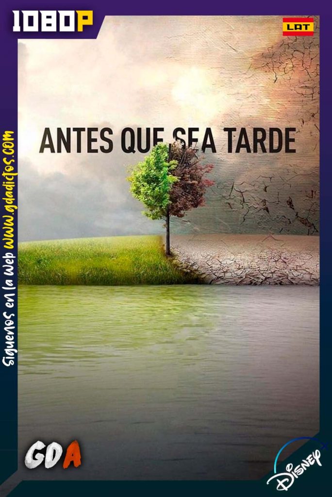 Antes que sea tarde (2016) DSNP WEB-DL 1080p Latino-Inglés