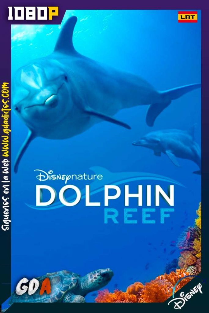 Arrecifes De Delfines (2018) DSNP WEB-DL 1080p Latino-Inglés