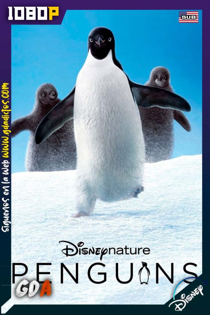 Los pinguinos (2019) DSNP WEB-DL 1080p Ingles-Sub