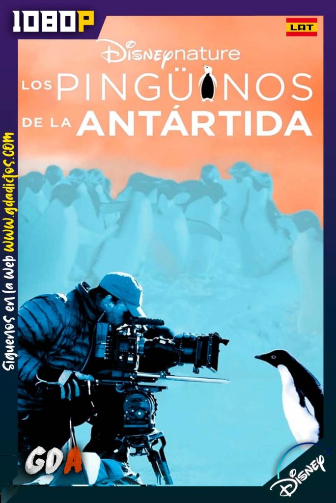 Pinguinos Vivir al Limite (2020) DSNP WEB-DL 1080p Latino-Inglés