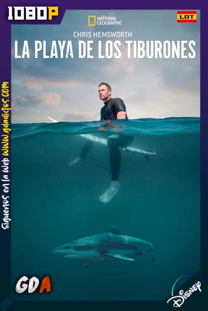 Playa de tiburones (2021) DSNP WEB-DL 1080p Latino-Inglés