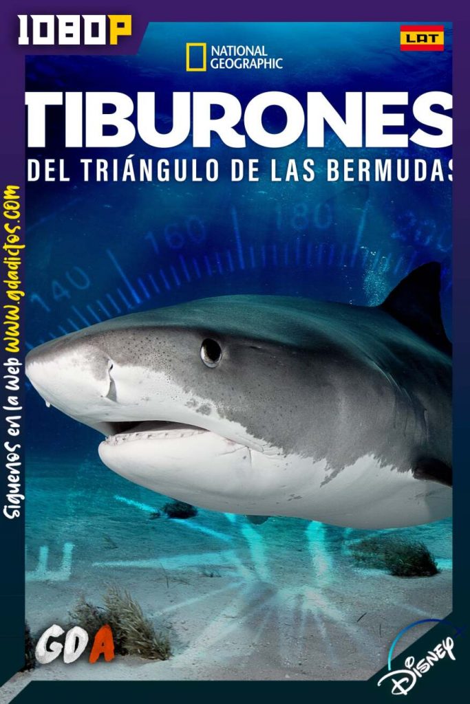 Sharks of the Bermuda Triangle (2020) DSNP WEB-DL 1080p Latino-Inglés