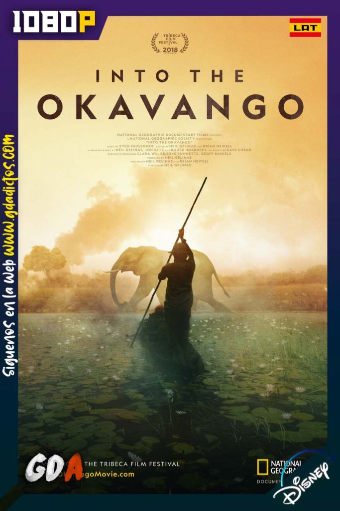 Into the Okavango (2018) DSNP WEB-DL 1080p Latino-Inglés