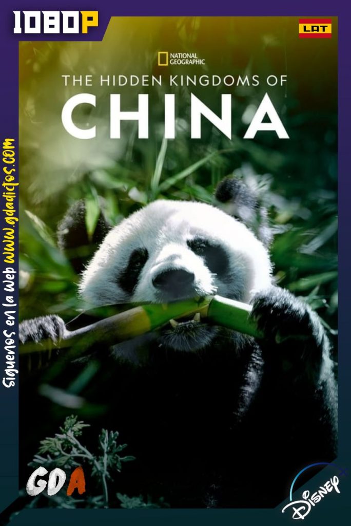 China Misteriosa y Salvaje (2020) DSNP WEB-DL 1080p Latino-Inglés