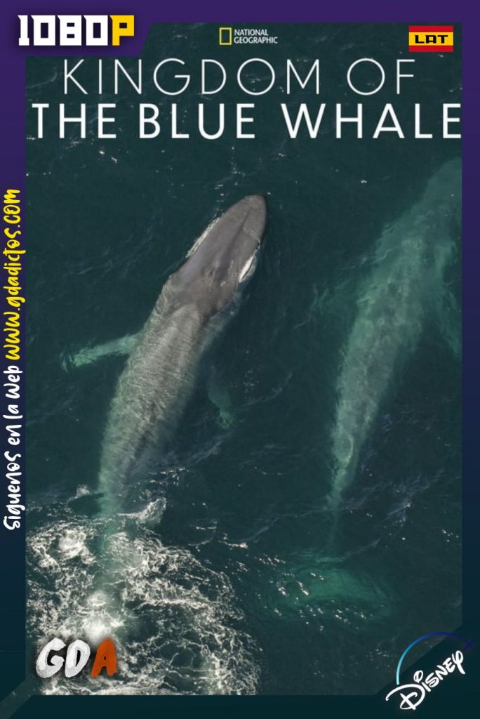 El Reino de la Ballena Azul (2009) DSNP WEB-DL 1080p Latino-Inglés