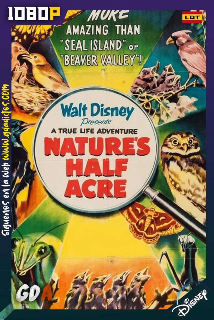 La Parcela de la Naturaleza (1951) DSNP WEB-DL 1080p Latino-Inglés