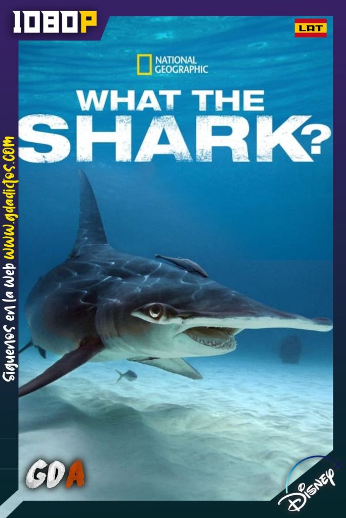 Los Tiburones Más Temibles (2020) DSNP WEB-DL 1080p Latino-Inglés
