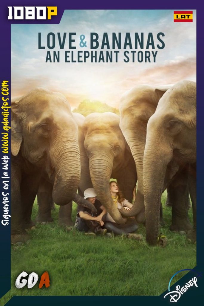 Love & Bananas: An Elephant Story (2018) DSNP WEB-DL 1080p Latino-Inglés